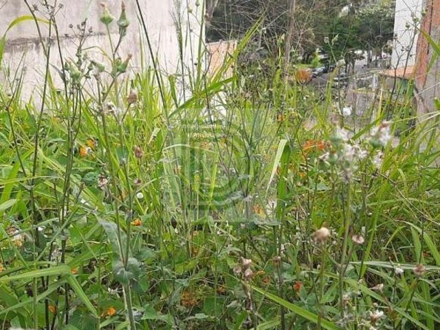 Terreno em AV. Comercial, fácil acesso a Rodovia Raposo Tavares