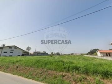 Terreno em Avanca