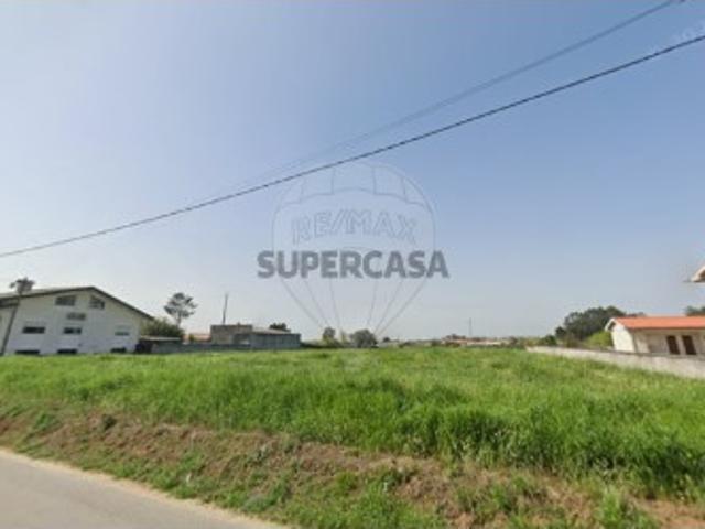 Terreno em Avanca
