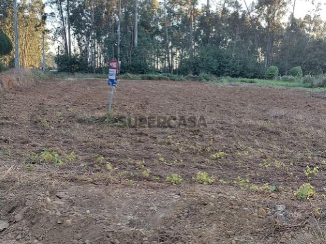 Terreno em Avanca