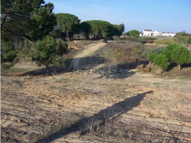 Terreno em Aveiras de Cima