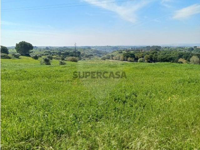 Terreno em Aveiras de Cima