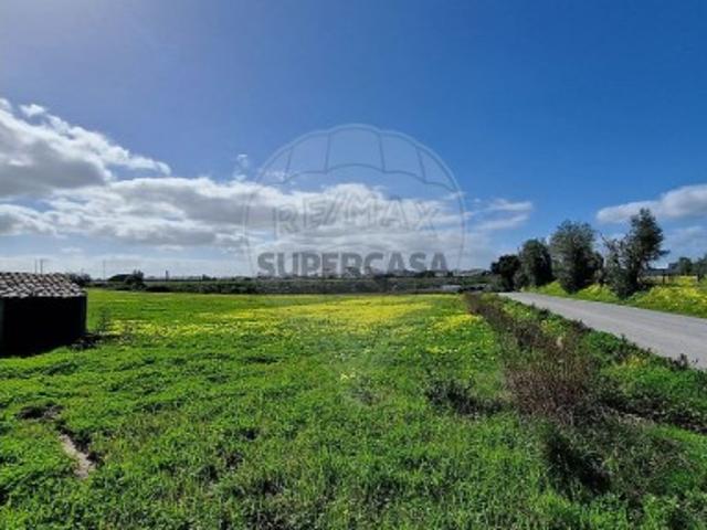 Terreno em Aveiras de Cima
