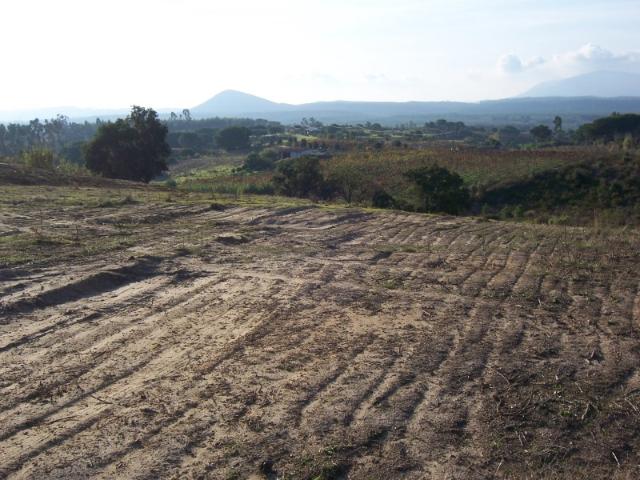 Terreno em Aveiras de Cima*RIOMAGIC