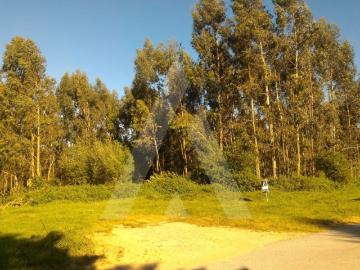 Terreno em Aveiro