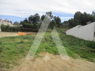 Terreno em Avelãs de Caminho