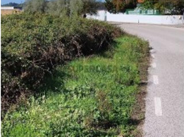 Terreno em Avelãs de Caminho