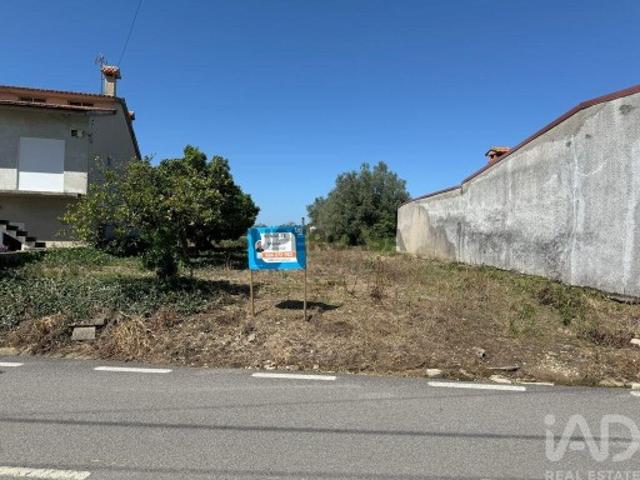 Terreno em Avelãs de Cima de 1918,00 m²