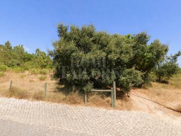 Terreno em avos à venda em Maçã Castelo de Sesimbra