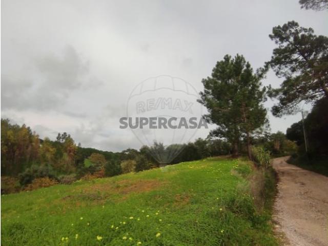 Terreno em Azambuja
