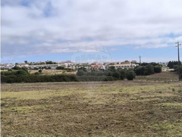 Terreno em Azambuja