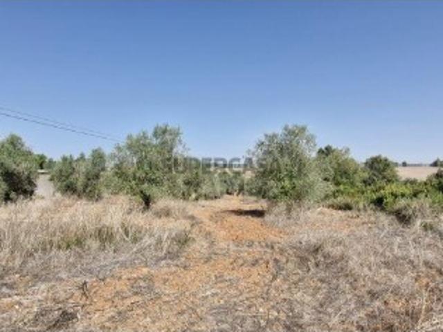 Terreno em Azambujeira e Malaqueijo de 12080,00 m²