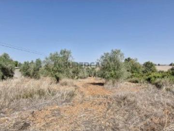 Terreno em Azambujeira e Malaqueijo de 12080,00 m²