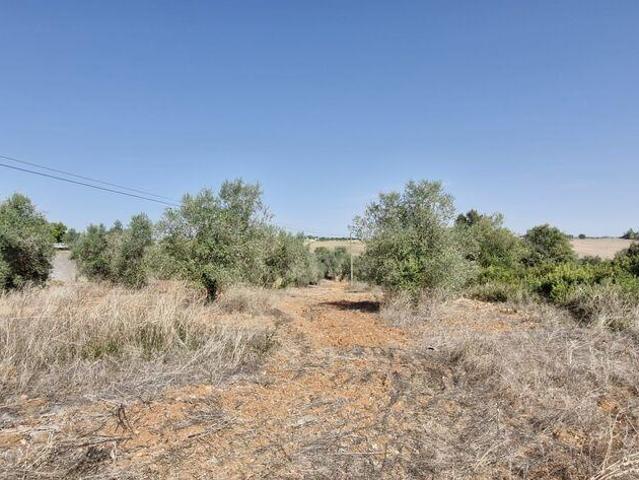 Terreno em Azambujeira e Malaqueijo de 12080,00 m²