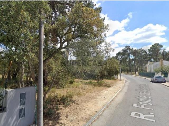 Terreno em Azeitão São Lourenço e São Simão
