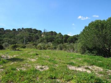 Terreno Rústico de 46.250 m² em Azeitão Natureza e Potencial em Harmonia