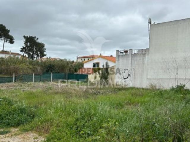 Terreno em Azeitão São Lourenço e São Simão