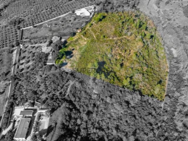Terreno em Azoia de Cima e Tremês