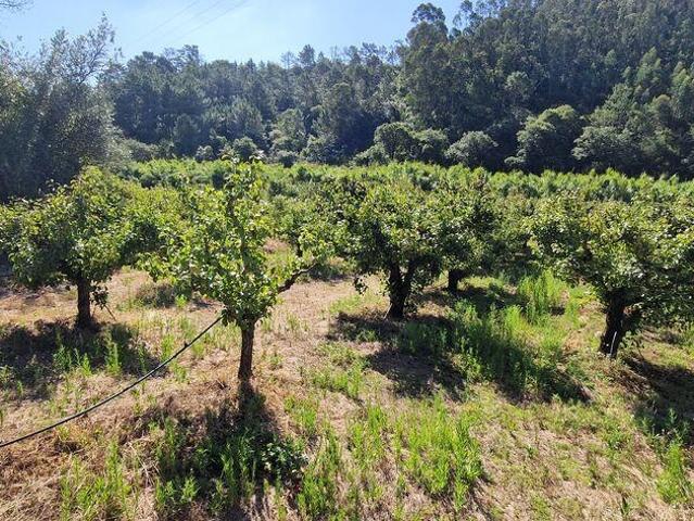 Terreno em Azueira e Sobral da Abelheira de 6250,00 m²