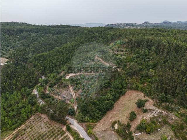 Terreno em Azueira e Sobral da Abelheira