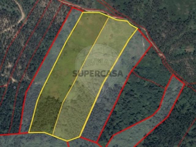 Terreno em Azueira e Sobral da Abelheira
