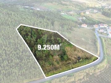 Terreno em Azueira e Sobral da Abelheira