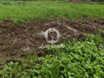 Terreno em Abade de Neiva