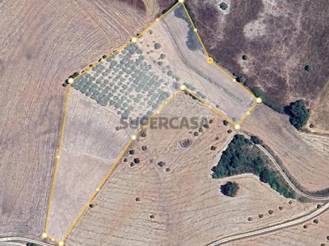 Terreno em Abitureiras