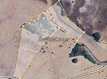 Terreno em Abitureiras