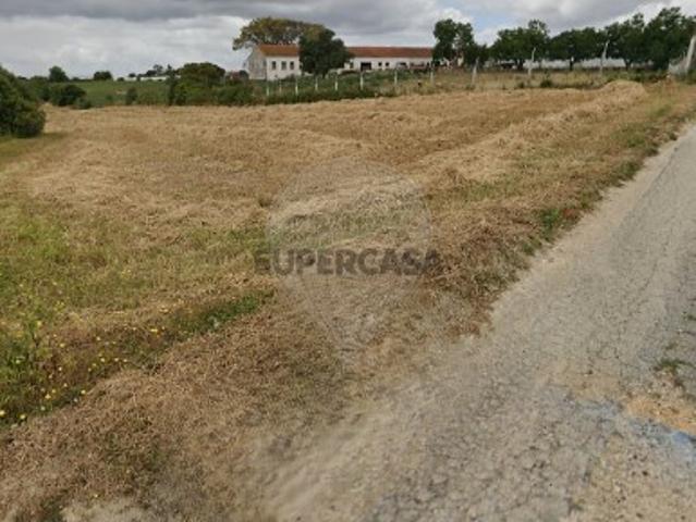 Terreno em Abitureiras