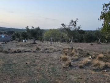 Terreno em Abrantes São Vicente e São João e Alferrarede