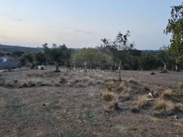 Terreno em Abrantes São Vicente e São João e Alferrarede