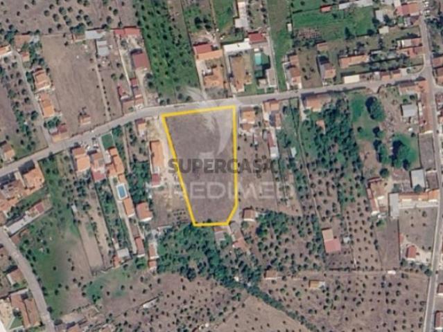 Terreno em Abrantes São Vicente e São João e Alferrarede