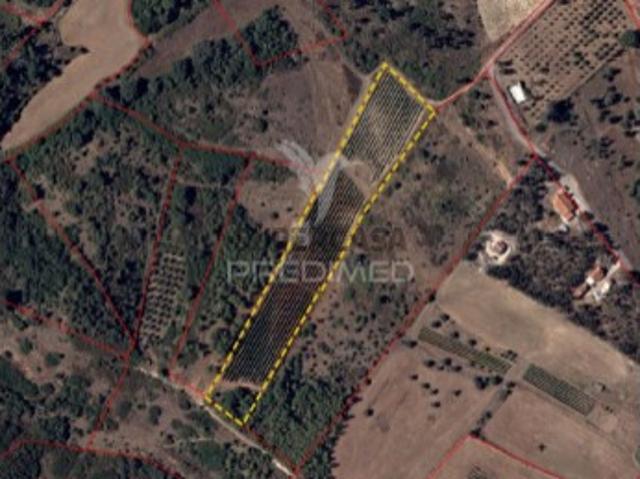 Terreno em Abrigada e Cabanas de Torres