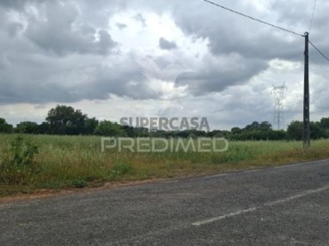 Terreno em Achete, Azoia de Baixo e Póvoa de Santarém