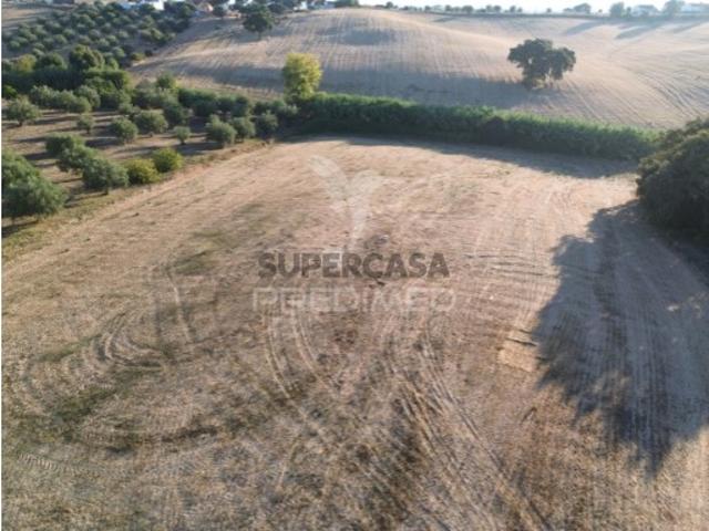 Terreno em Achete, Azoia de Baixo e Póvoa de Santarém