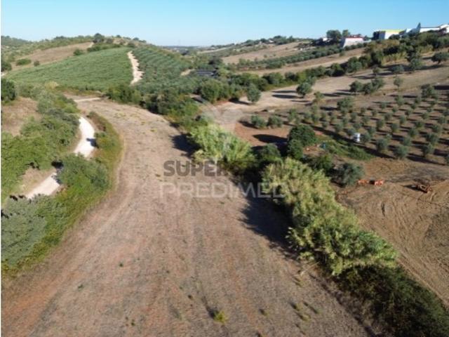 Terreno em Achete, Azoia de Baixo e Póvoa de Santarém