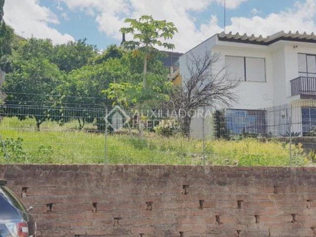 Terreno Bairro Primavera Novo Hamburgo