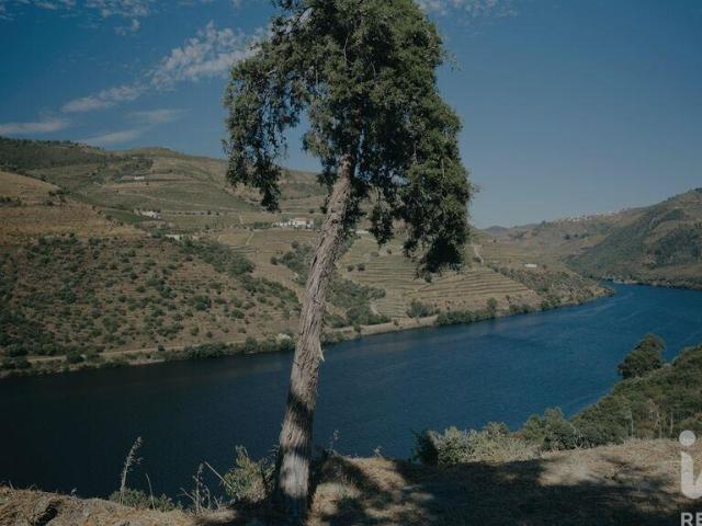 Terreno em Adorigo
