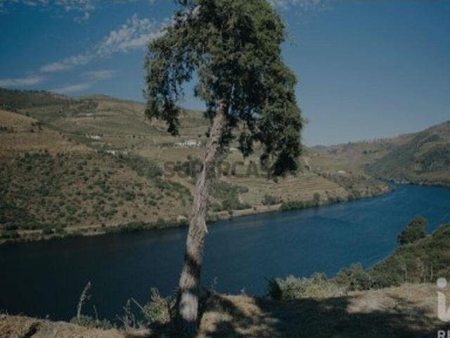 Terreno em Adorigo