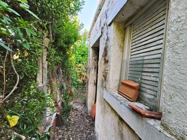TERRENO EM ÁGUAS DE MOURA