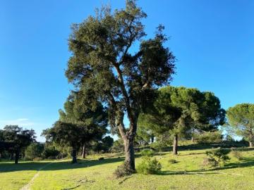 Águas de Moura, Poceirão e Marateca - Piscina