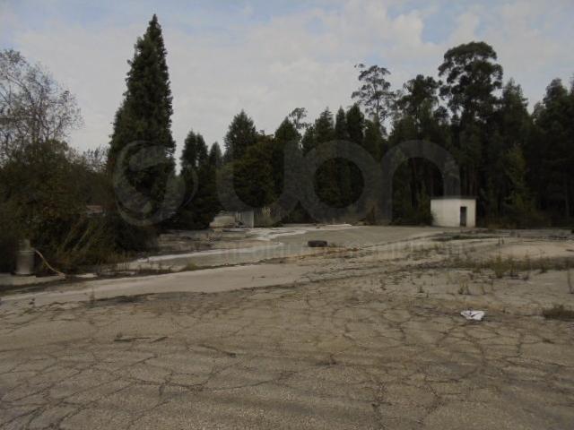 Terreno em Águeda