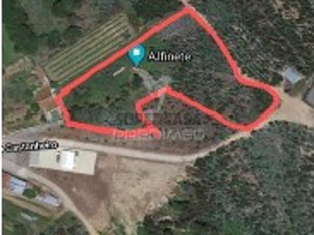 Terreno em Águeda