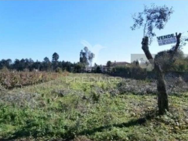 Terreno em Águeda