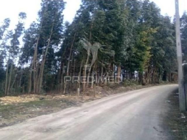 Terreno em Águeda