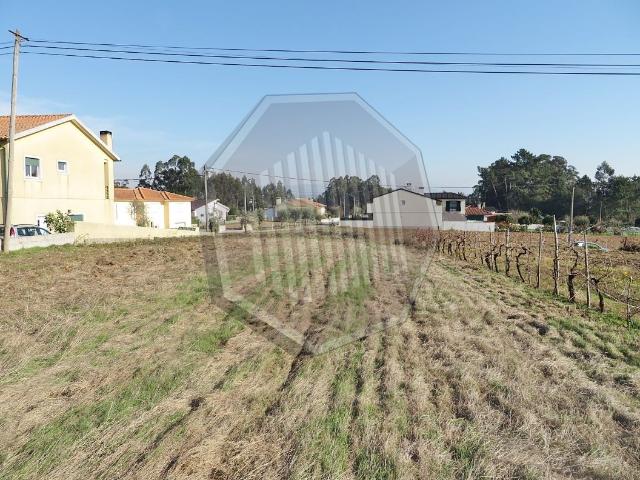 Terreno em Águeda Norte!