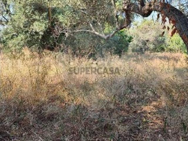 Terreno em Alcoutim e Pereiro
