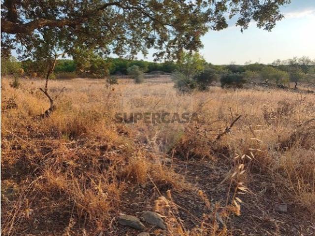 Terreno em Alcoutim e Pereiro