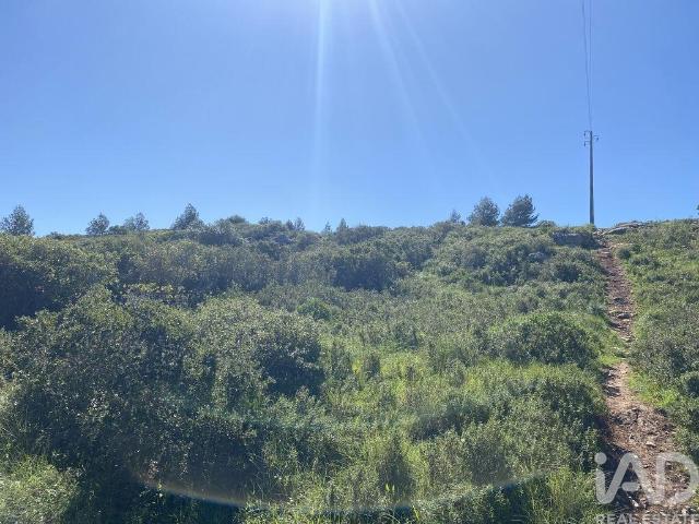 Terreno em Alcabideche de 8920,00 m²